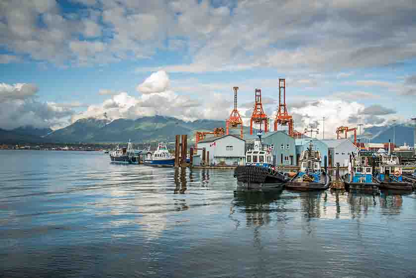 A scenery of harbour with few ships docking